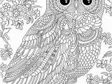 Snowy Owl Coloring Page Coloriage Zen