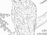 Snowy Owl Coloring Page Pin by MaÅgorzata Kitka On Coloring Pages Owls