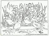 Sonoran Desert Coloring Pages Coloring Pages Template Part 478