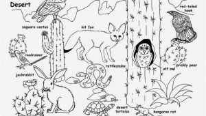 Sonoran Desert Coloring Pages sonoran Desert Animals Coloring Pages Awesome Wildlife Coloring