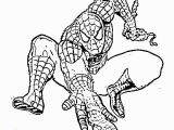 Spider Man Coloring Page Jukung Wallpaper Spider Man original