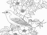 Spring Flowers Coloring Pages for Kids Coloring Pages Birds and Flowers