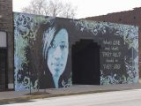 St Louis Wall Murals tower Grove In St Louis Mo Street°°art°°°