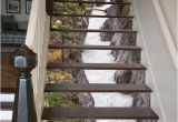 Stair Riser Murals 3d Maligne River Stair 66 Risers Staircase Stairway Stairs Risers