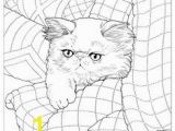 Taco Cat Coloring Pages 551 Best Creative Coloring Page Ideas Images In 2020