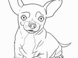 Teacup Chihuahua Coloring Pages Chihuahua Coloring Pages Awesome 8 Best Chihuahuas