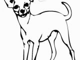 Teacup Chihuahua Coloring Pages Chihuahua Coloring Pages Fresh 344 Best Adult Coloring Pages