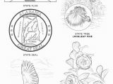 Tennessee State Tree Coloring Page Alabama State Symbols Coloring Page