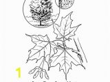 Tennessee State Tree Coloring Page New York Wordsearch Crossword Puzzle and More