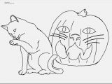 Thanksgiving Coloring Pages for Free Printable Print Coloring Pages Kitten at Coloring Pages
