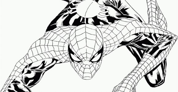 The Amazing Spiderman Printable Coloring Pages the Amazing Spider Man Coloring Pages Coloring Home