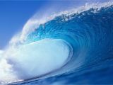 The Perfect Wave Wall Mural Ocean Waves Wallpaper 1