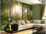 Touch Of Modern Wall Mural 119 Best 3d Floors & Walls Images