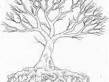 Tree with Roots Coloring Page Tree Drawing with Color and Roots Tree with Roots Coloring Page