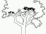 Tree with Roots Coloring Page Tree with Roots Coloring Page Coloring Page Cvdlipids