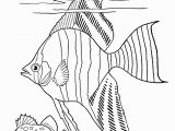 Tropical Fish Coloring Pages Coloring Freeintable Adult Coloring Page Tropical Fish the