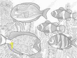 Tropical Fish Coloring Pages Coloring Pages for Adults Tropical Fishes Adult Coloring