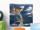 Turn Pictures Into Wall Murals Mountain Lion Dead Tree Wall Mural