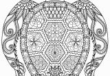 Turtle Coloring Pages for Adults 20 Gorgeous Free Printable Adult Coloring Pages Page 3 Of 22