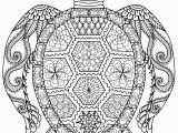 Turtle Coloring Pages for Adults 20 Gorgeous Free Printable Adult Coloring Pages Page 3 Of 22