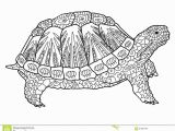 Turtle Coloring Pages for Adults Helpful Turtle Coloring Pages for Adults Adult Brilliant