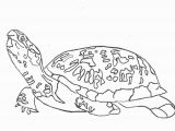 Turtle Coloring Pages for Adults Turtle Coloring Pages for Adults Sea Turtles Coloring New Coloring
