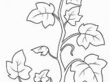 Types Of Leaves Coloring Pages Image Result for Coloring Page Vine and Branches