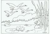 Ugly Duckling Coloring Pages 68 Best Honk Jr Images