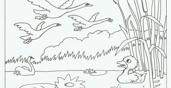 Ugly Duckling Coloring Pages 68 Best Honk Jr Images