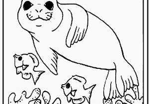 Under the Sea Coloring Pages Coloring Pages Sea Animal Coloring Pages for Adults Sea