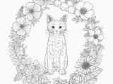 Unicorn Cat Coloring Pages Harmony Nature Adult Coloring Book Pg 39