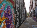 Vancouver island Wall Murals Sprachreisen Melbourne Für Erwachsene