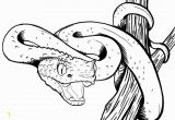 Viper Snake Coloring Page Viper Snake Coloring Page 4384