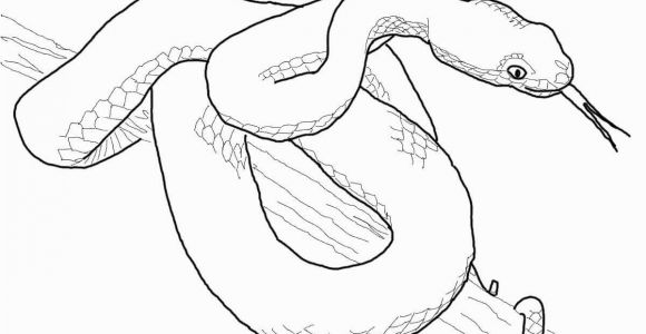 Viper Snake Coloring Page Viper Snake Coloring Pages