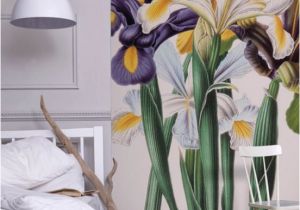 Wall Art Wallpaper Murals Uk Iris Xiphium Mural New York Botanical Garden From £60 Per