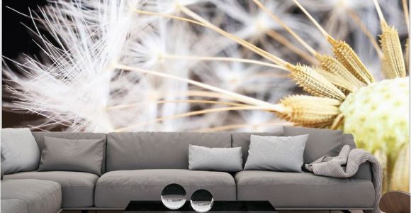 Wall Art Wallpaper Murals Uk Wallpaper Fluffy Dandelion" 3d Wallpaper Murals Uk