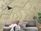 Wall Murals and Posters topographical Map Wall Mural Wallpaper Maps