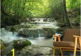 Wall Murals Nature Scenes Landscape Wallpaper & Wall Murals