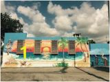 Wall Murals Tampa Fl 21 Best Mural Artists St Petersburg Fl Images