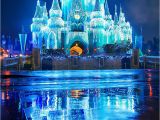 Walt Disney World Wall Murals Ultimate 2019 Disney World Christmas Guide