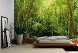 Where's Waldo Wall Mural Entrance to A Dark Leafy forest Wall Mural Removable