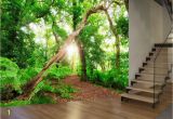 Where's Waldo Wall Mural forest Trees Nature Plant Green Wall Mural Wallpaper
