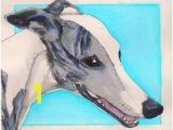 Whippet Coloring Pages 123 Best Whippet Art Images On Pinterest