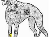 Whippet Coloring Pages 13 Best Gratis Ausmalbilder Hunde Images On Pinterest
