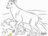 Whippet Coloring Pages Velociraptor Coloring Pages Animal Coloring Pages