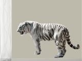White Tiger Wall Mural Pin On Printed Decals