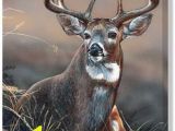 Whitetail Deer Murals 158 Best Deer Images In 2019