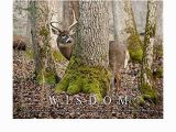 Whitetail Deer Wall Murals Amazon Whitetail Deer Motivational Poster Art Print 11×14 Bow