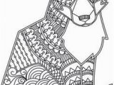 Wild Animals Coloring Pages Pdf 430 Best Coloring Book Animals Nature Wildlife Images On