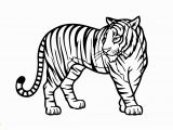 Wild Animals Coloring Pages Pdf Tiger Wild Animals Coloring Pages for Kids Printable Free